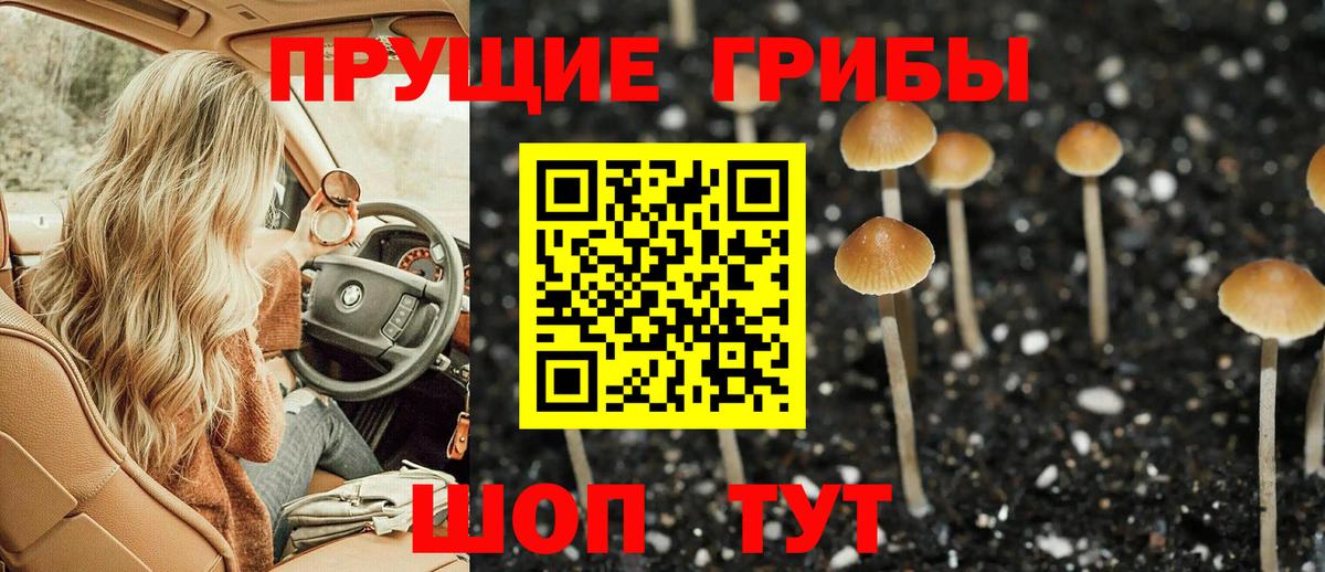 Галлюциногенные грибы Cubensis  Вход с VPN  Рыбинск 