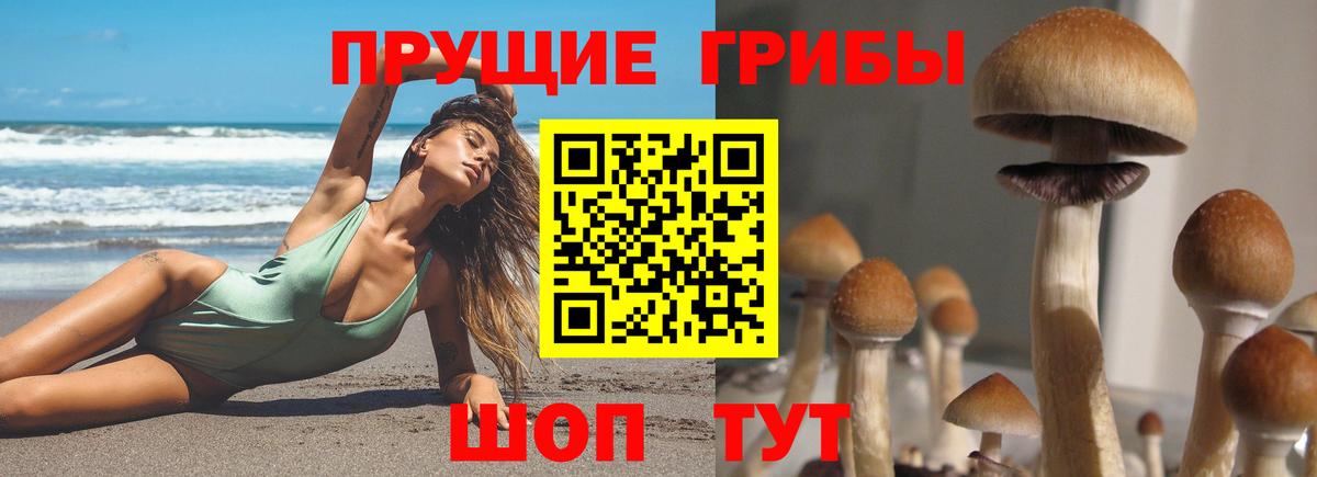 Псилоцибиновые грибы Cubensis Рыбинск